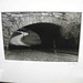 Tom Mitchell Photo 42