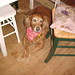 Annie Cross Photo 18