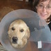 Tracy Cone Photo 26