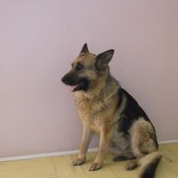 Katherine Becker Photo 40