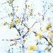 Colleen Leonard Photo 24
