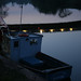Connie Upton Photo 15
