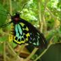 Tracy Hughes Photo 8