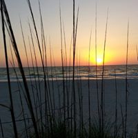Sue Jones Photo 31