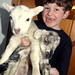 Harry Peck Photo 23