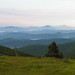 Virginia Rogers Photo 21