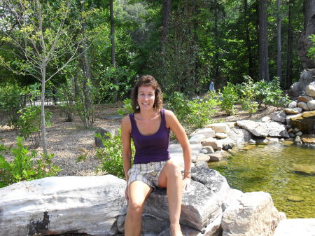 Terri Phillips Photo 11