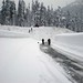 Steven Snow Photo 18
