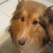 Stephanie Fulton Photo 17