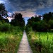Jim Meadows Photo 24