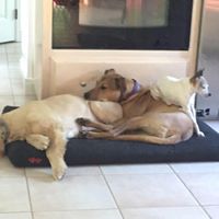 Kathy Matthews Photo 37