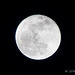 Ismael Dominguez Photo 16