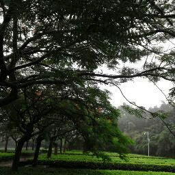 Weidong Li Photo 11