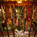 Thanh Dinh Photo 16