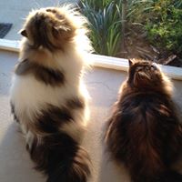 Suzanne Farnsworth Photo 16