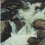 Cindy Todd Photo 21