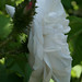 Bud Garrison Photo 12