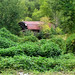 Melissa Fouts Photo 11