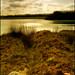 Robert Bracken Photo 15