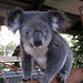 Barbara Downs Photo 16