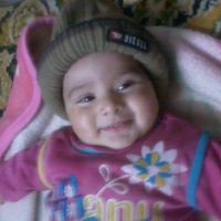 Muhammad Shad Photo 5