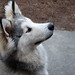 Mark Cruse Photo 28
