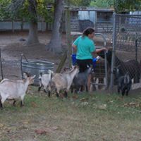 Cheryl Rogers Photo 44
