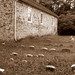 John Pennypacker Photo 11