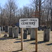 Francis Perkins Photo 10