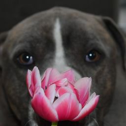Joyce Hendriks Photo 11