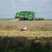 John Arata Photo 12