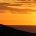 Dawn Hawkes Photo 9