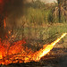 Joshua Robbins Photo 39