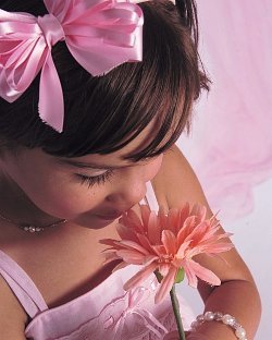 Sandra Alicea Photo 7