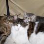 Mary Blankenship Photo 40