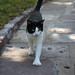 Ernest Key Photo 7