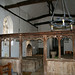 Mary Low Photo 27