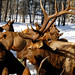 Kathy Lyle Photo 24