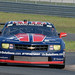 Brandon Stevenson Photo 16