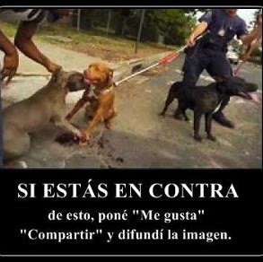 Romeo Castro Photo 29