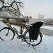 Susan Steed Photo 12