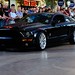 David Rider Photo 16