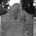 Elizabeth Dickson Photo 32
