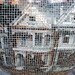 Alan Roth Photo 29