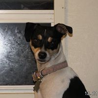 Linda Haydon Photo 4