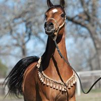 Carolyn Clark Photo 46