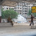 Sharad Patel Photo 22