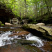 Brian Ricketts Photo 30