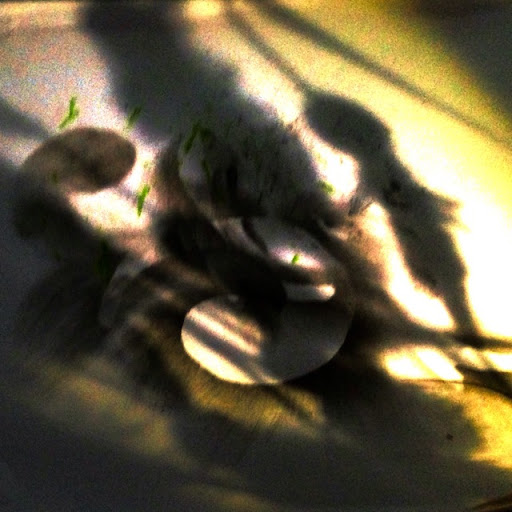 Lawrence Henley Photo 7