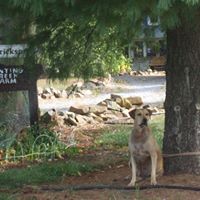 Judy Hendrickson Photo 6
